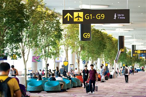 singapore airport transit rules